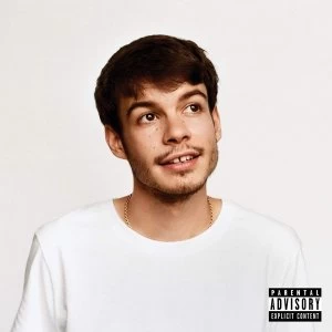 Image of Rex Orange County - Pony Vinyl