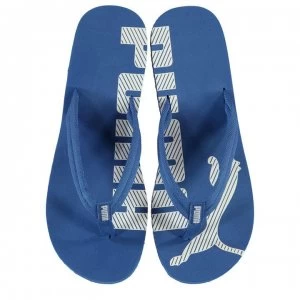 Image of Puma Epic V2 Flip Flops - Turkish Sea/Whi