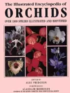 Image of illustrated encyclopedia of orchids