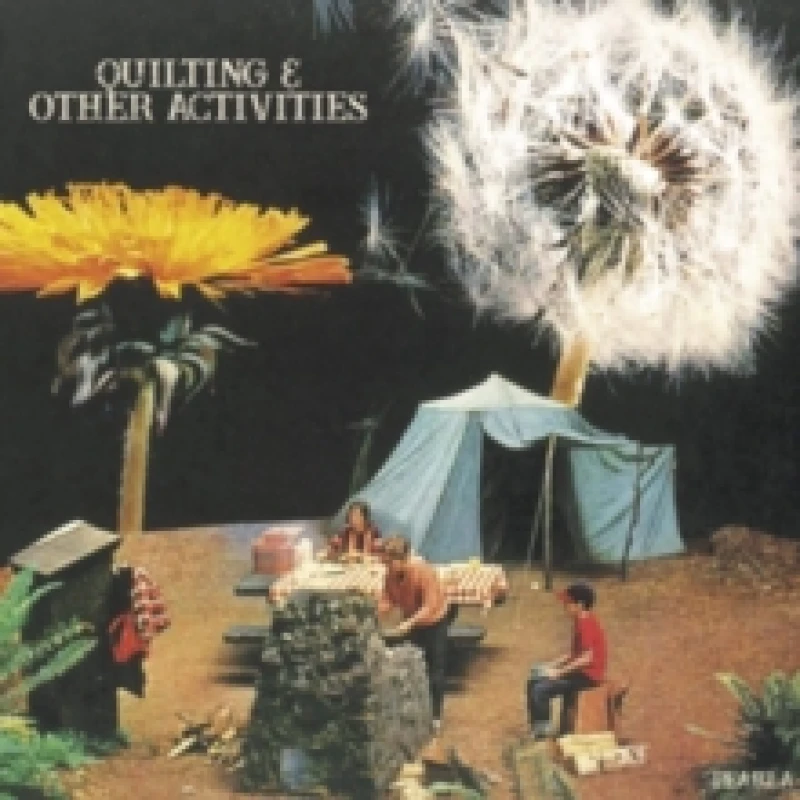 Image of Quilting & Other Activities Vinyl