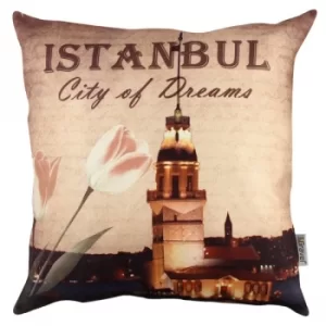 Image of A11066 Multicolor Cushion