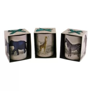 Image of Set of 3 Tropical Safari Candlepots