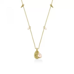 Image of Ladies Radley Gold Plated Sterling Silver In A Flutter Necklace