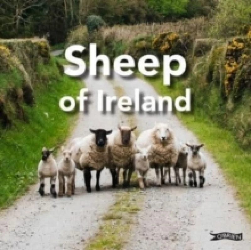 Image of Sheep of Ireland Hardback