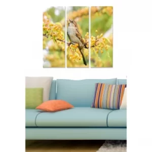 Image of MDF2847799 Multicolor Decorative MDF Painting (3 Pieces)