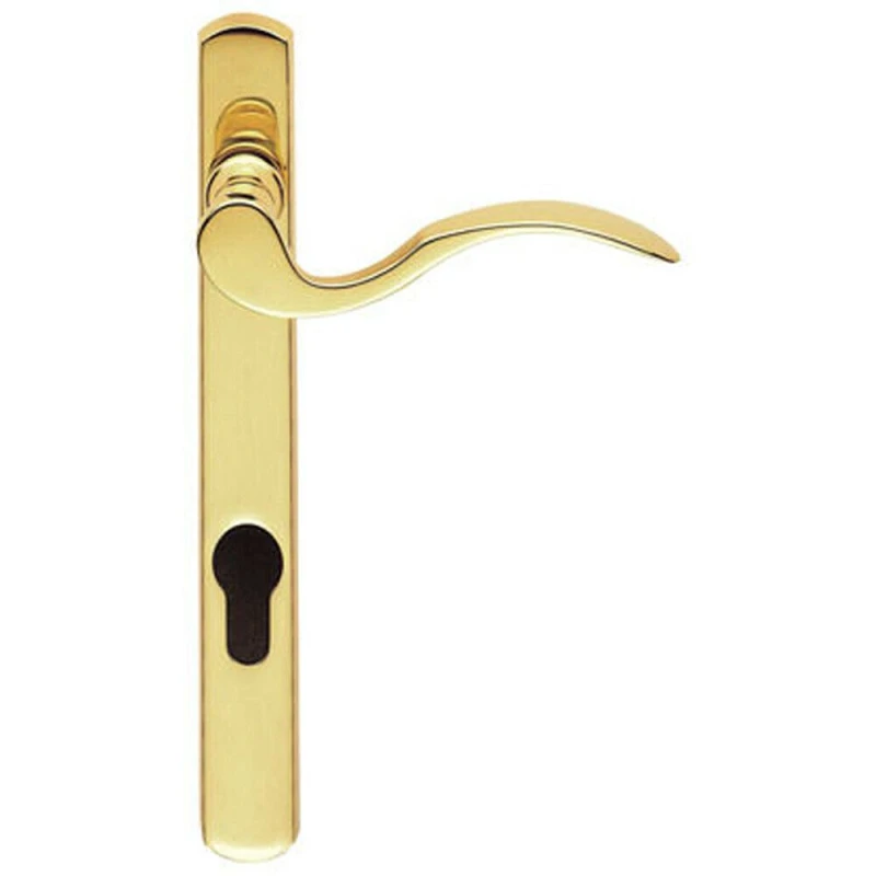 Image of Loops Scroll Lever Door Handle on Lock Backplate Polished Brass 208 x 25mm Metallics unisex