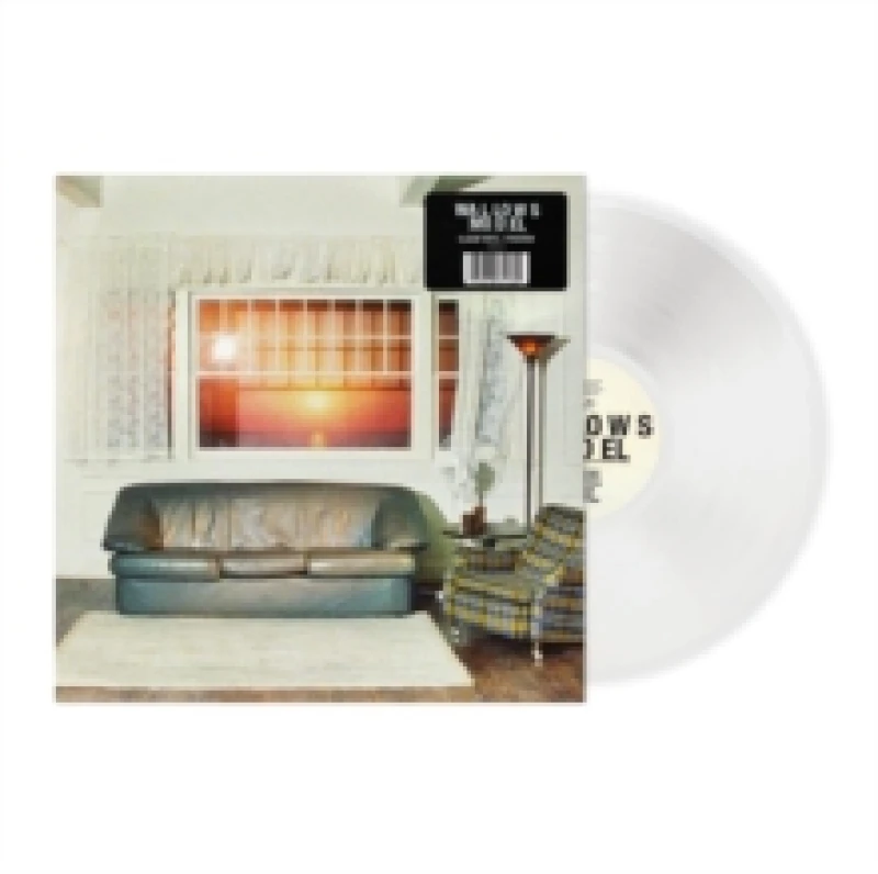 Image of Model Vinyl