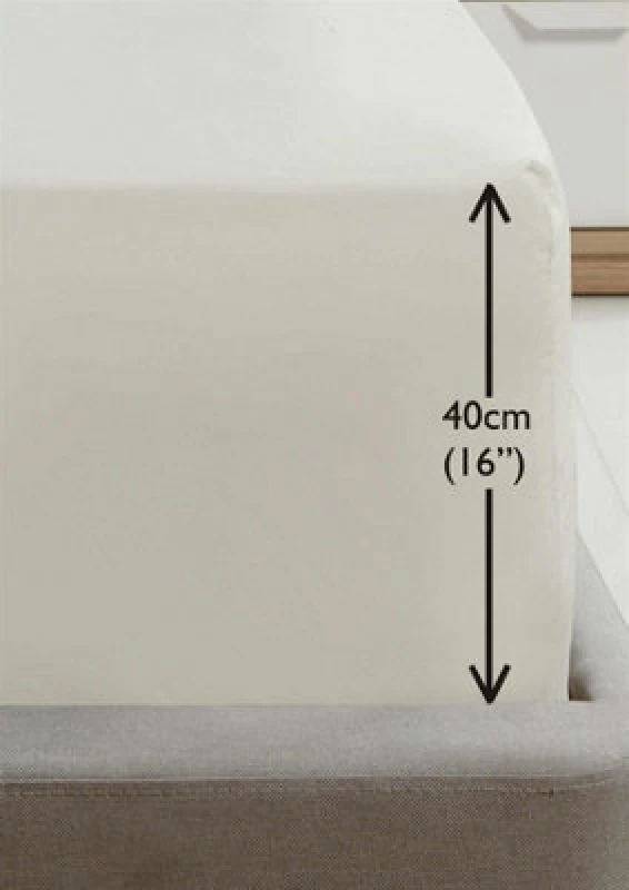 Image of Rapport Home SND Percale House Wife Pillowcase Pair in Cream Size: Standard Pillow Case Cream Unisex Standard Pillow Case