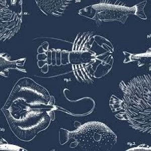 Image of Contour Antibac Into The Deep Navy Wallpaper Paper