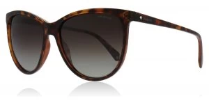 Image of Polaroid PLD4066/S Sunglasses Havana 086 Polariserade 57mm