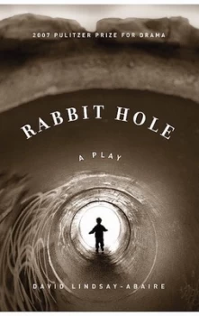 Image of Rabbit Hole by David Lindsay-Abaire Book