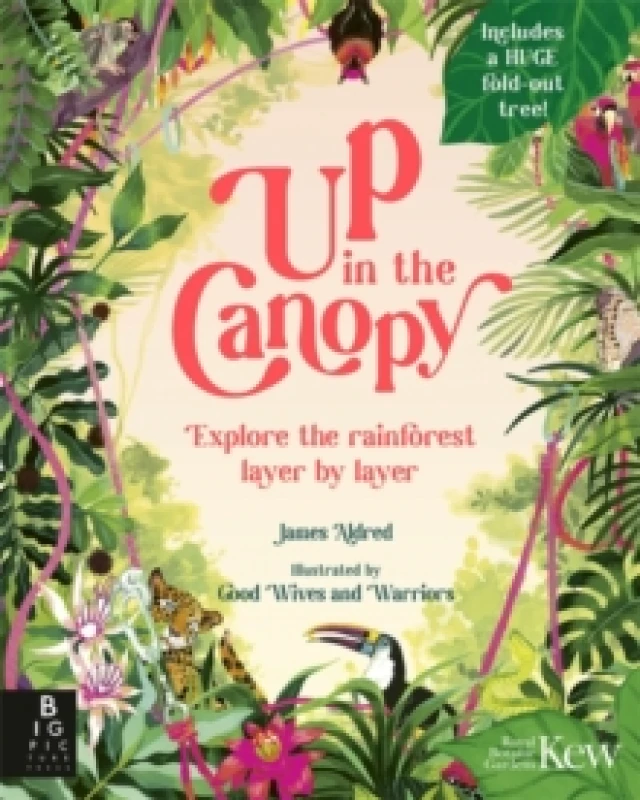 Image of Up in the Canopy : Explore the Rainforest, Layer by Layer Hardback