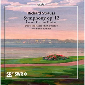 Image of Deutsche Radio Philharmonie - Richard Strauss: Symphony Op. 12/Concert Overture in C Minor CD