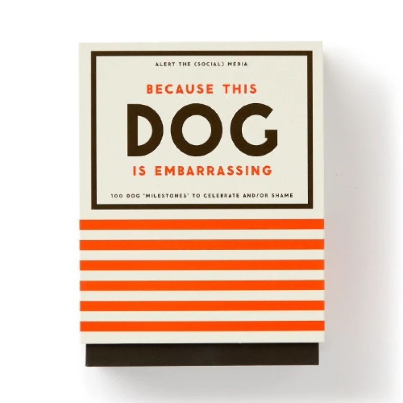 Image of Because This Dog Is Embarrassing - Pet Shame/Praise Deck. Cards. By Brass Monkey Books