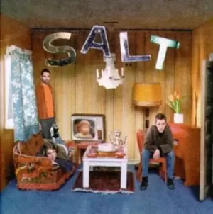 Image of Salt - Auscultate CD Album - Used