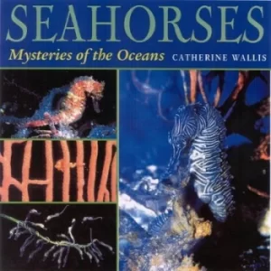 Image of Seahorses by Catherine Wallis