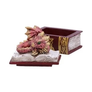 Image of Bedtime Stories Red Dragon Box