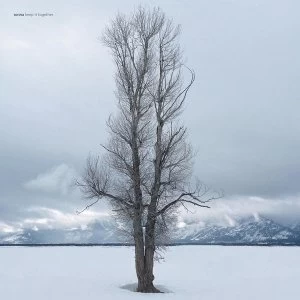 Image of Sonna - Keep It Together Vinyl