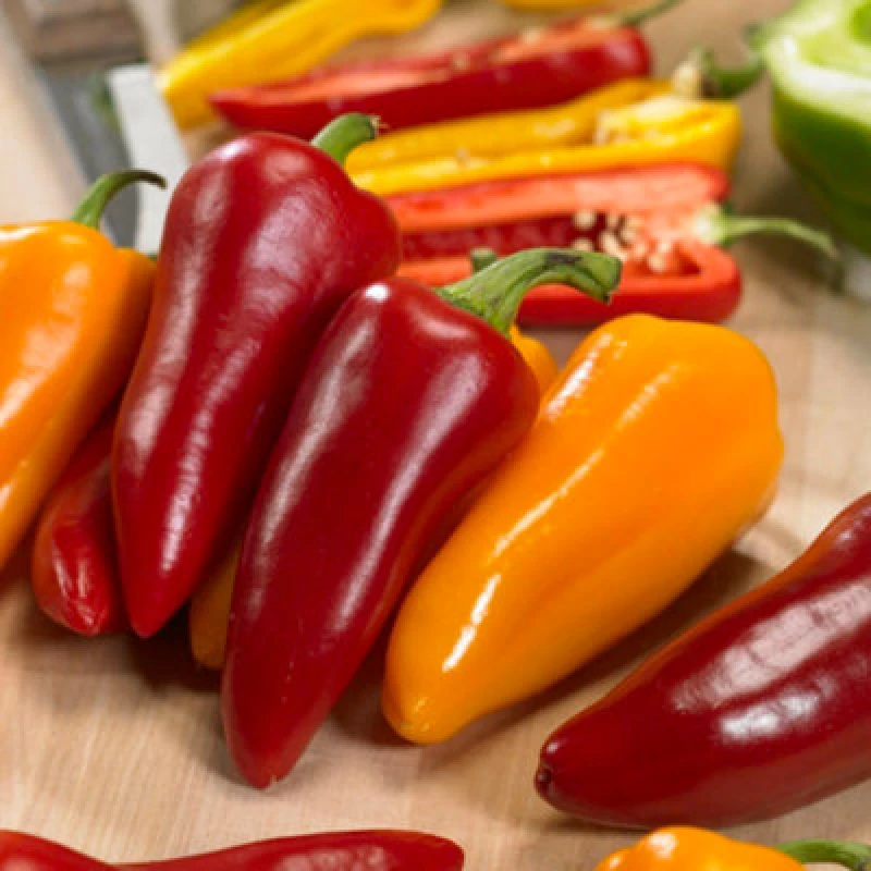 Image of Thompson & Morgan Pepper (Sweet) Pillar Sweet Trio F1 1 Seed Packet