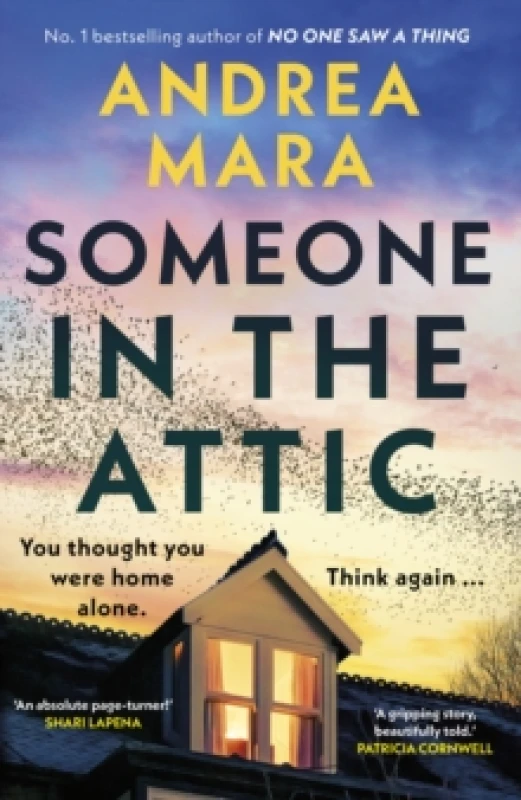 Image of Someone in the Attic Hardback