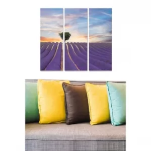 Image of MDF457535692 Multicolor Decorative MDF Painting (3 Pieces)