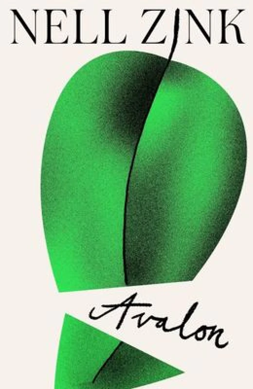 Image of Avalon. Hardback. By Nell Zink Books