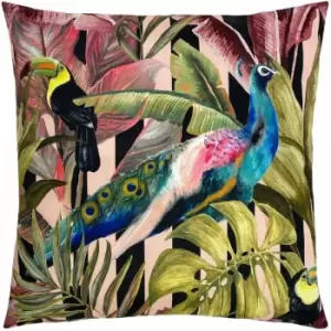 Image of Evans Lichfield - Toucan And Peacock Print Outdoor Cushion Cover, Multi, 43 x 43 Cm