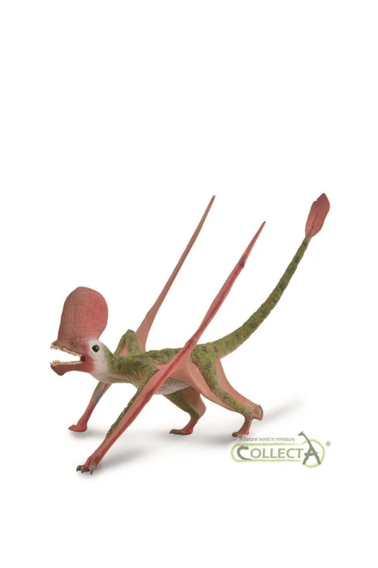 Image of CollectA Caviramus Dinosaur Toy with Movable Jaw in Green Green Unisex