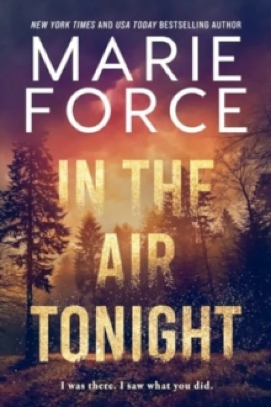 Image of In the Air Tonight Paperback / softback