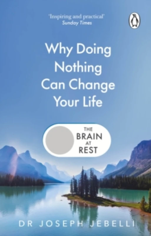Image of The Brain at Rest : Why doing nothing can change your life Paperback / softback