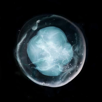 Image of A Winged Victory For The Sullen - The Undivided Five Vinyl