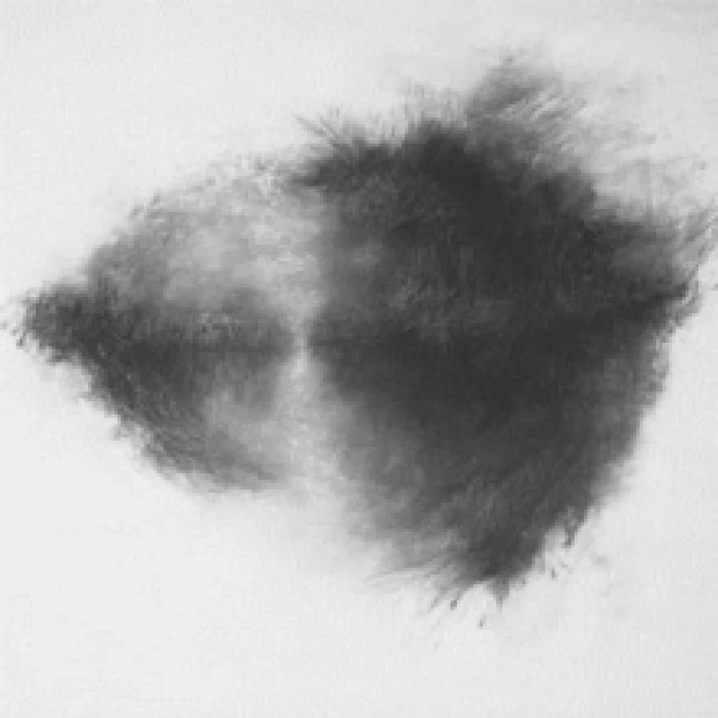 Image of Advisory Committee Vinyl