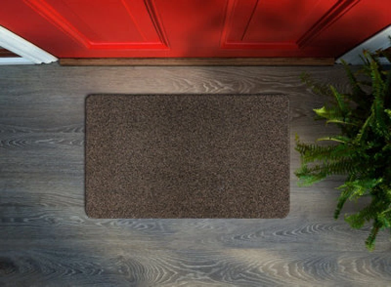 Image of RugsX Doormat Michigan 401 Antislip, Outdoor, Indoor, Gum - Brown 50X80 Cm