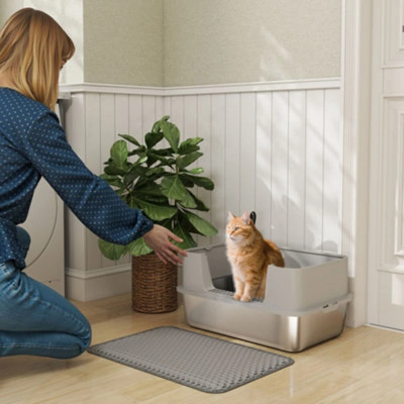 Image of PawHut Stainless Steel Litter Box with Scoop, High Sided Cat Litter Tray, Grey D31-145V02GY