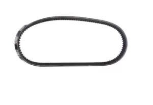 Image of RIDEX V Belt MERCEDES-BENZ,FIAT,HYUNDAI 10C0033 9933210786,7689128,D5NN10C318C Fenner Belt 5723102010,MB166386,MB166986,8942314130,C28955,0019974192