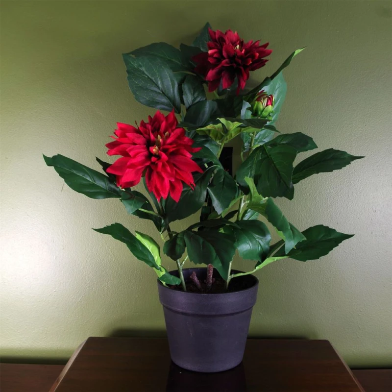 Image of Leaf Artificial Dhalia Plant Flowers Flowering Plant Red Botanik Red