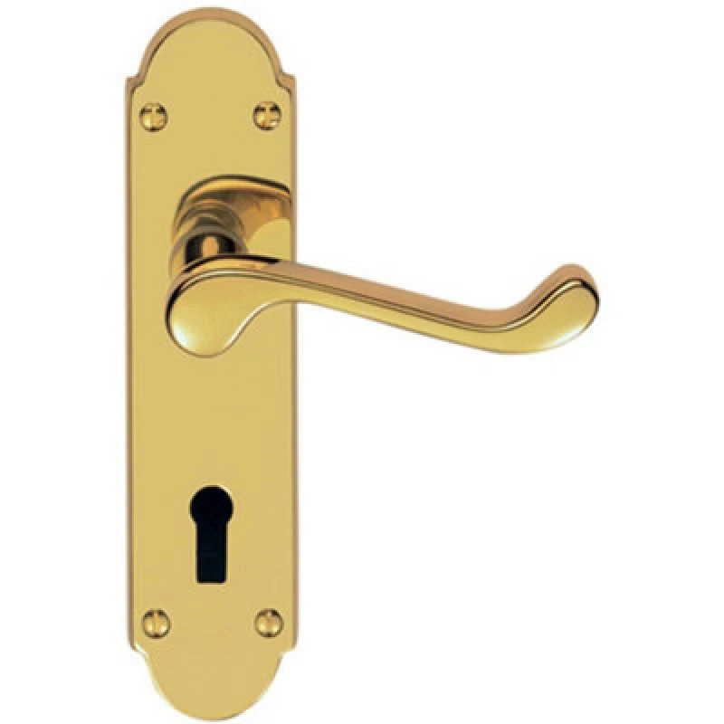 Image of Loops PAIR Victorian Upturned Handle on Lock Backplate 170 x 42mm Polished Brass Metallics