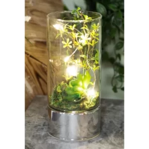 Image of Glass Tube Terrarium with Artificial Succulents and LEDs