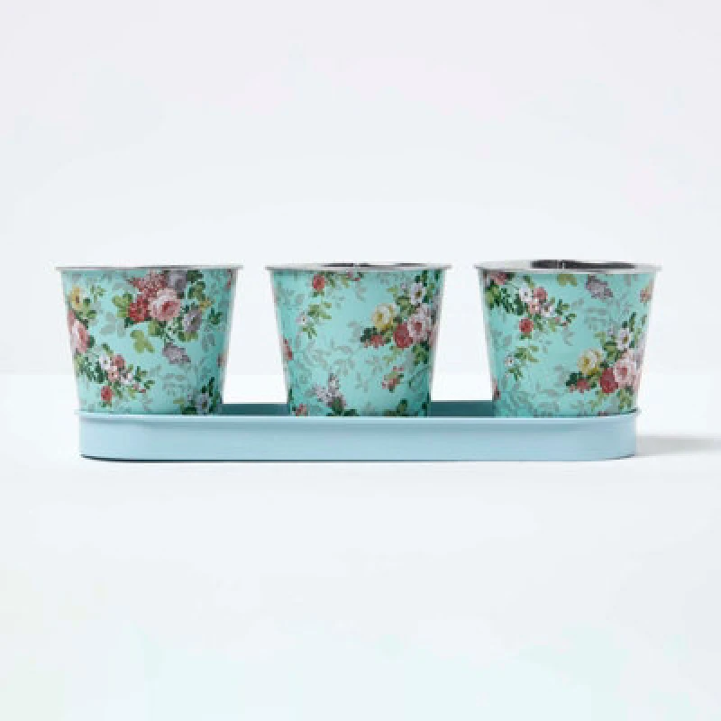 Image of Homescapes Set Of 3 Herb Pots With Tray, Rose Print