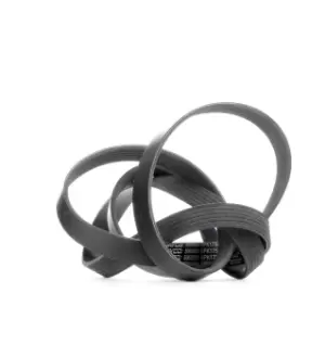 Image of DAYCO V-ribbed belt VW,MERCEDES-BENZ,FORD 6PK1750 46769821,51855784,71739910 71749452,047903137AB,074145933AR,575027,5750W3,5750YG,5750Z6,5750Z7