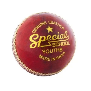 Image of Readers Special School Cricket Ball Youths