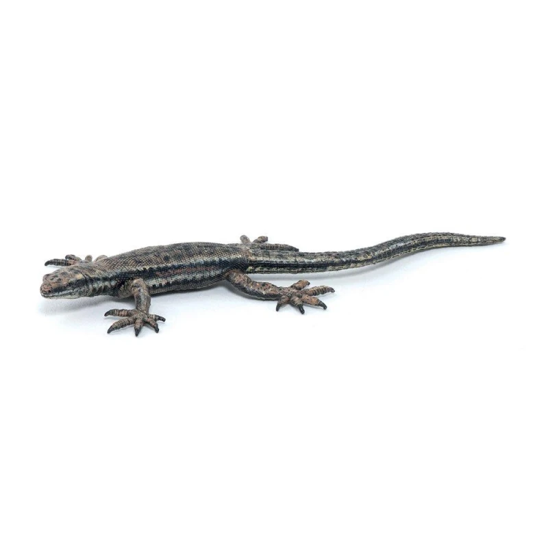 Image of PAPO Common Lizard