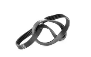 Image of DAYCO V-ribbed belt BMW 4PK836EE 11287792851,64557792851,7792851 Serpentine belt,Auxiliary belt,Poly V-belt,Ribbed belt,Multi V-belt,Poly belt