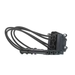Image of DELPHI Ignition coil RENAULT,DACIA CE20018-12B1 8200360911,8200702693,8200360911 Coil pack,Ignition coil pack,Engine coil,Engine coil pack 8200702693