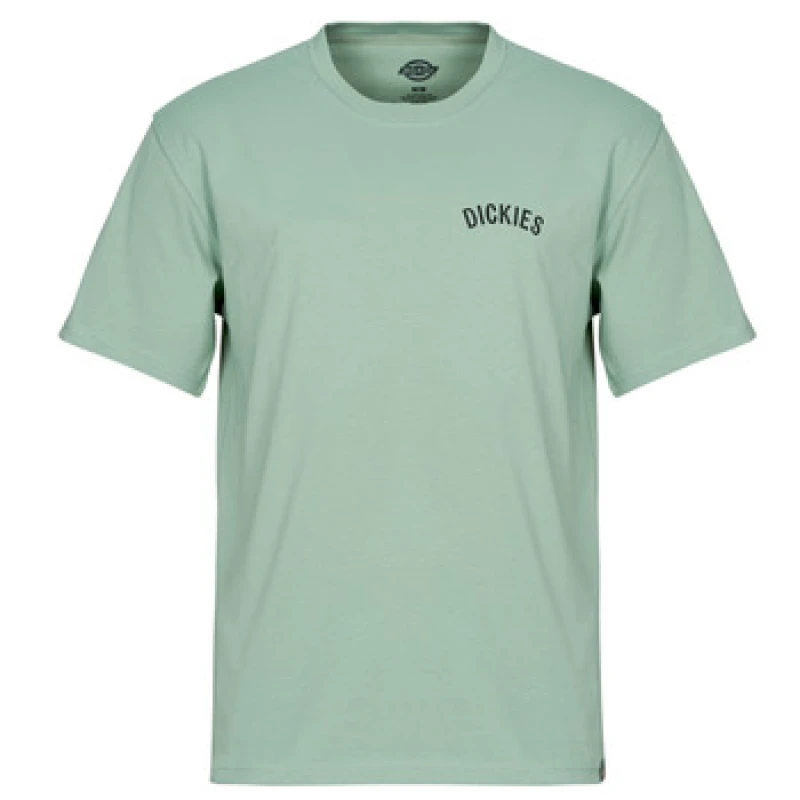 Image of Dickies Green Snake T-Shirt Green Male 2XL 239743UK
