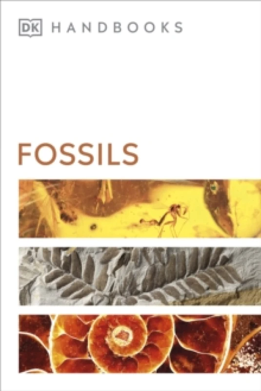 Image of Fossils Paperback / softback