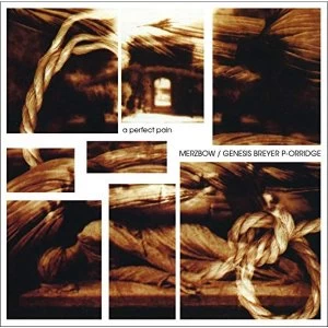 Image of Merzbow / Genesis Breyer P-Orridge - A Perfect Pain Vinyl