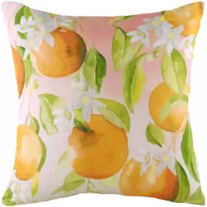 Image of Fruit Oranges Printed Cushion Multicolour