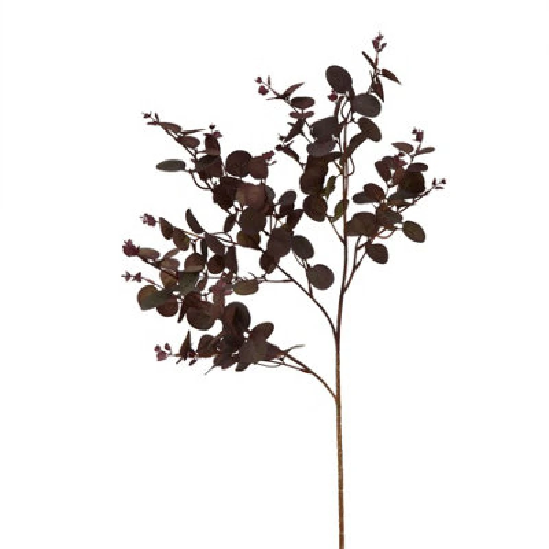 Image of Burgundy Eucalyptus Bunch