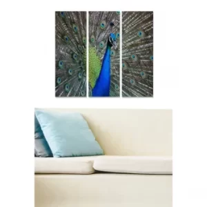 Image of MDF2201428 Multicolor Decorative MDF Painting (3 Pieces)